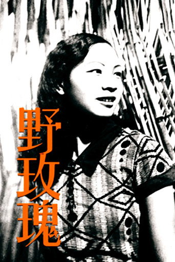 野玫瑰海报
