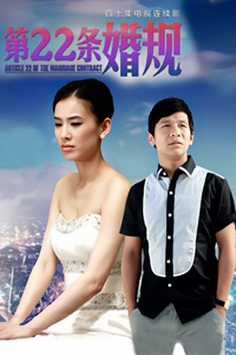 第22条婚规海报