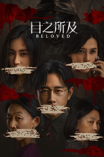 目之所及海报