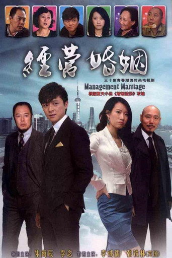 经营婚姻海报