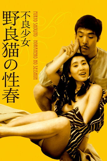 不良少女：野良猫的性春海报