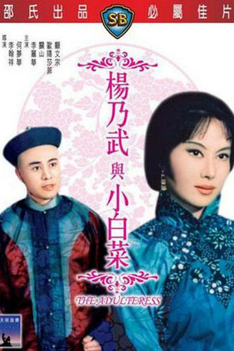 杨乃武与小白菜海报