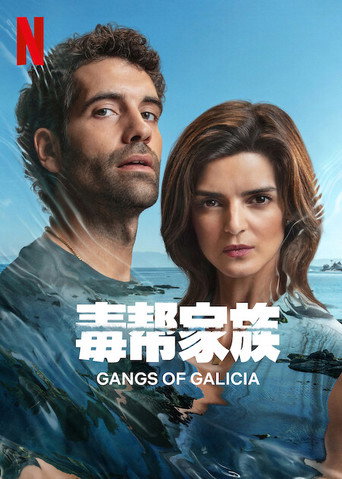 毒帮家族海报