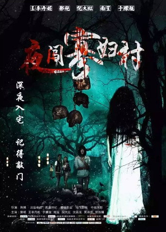 夜闯寡妇村海报