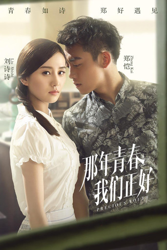 那年青春我们正好海报