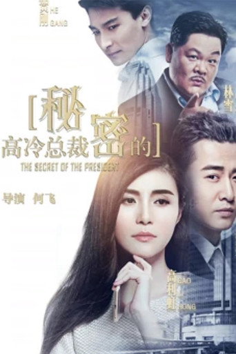 高冷总裁的秘密海报