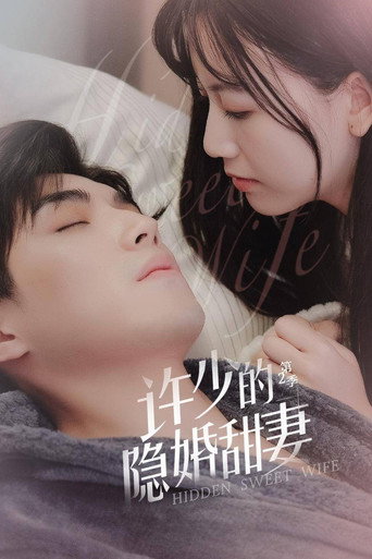 许少的隐婚甜妻 第 2 季海报