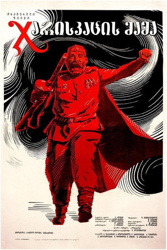 士兵之父海报