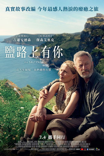 盐之路海报