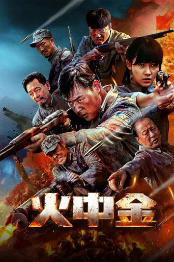 火中金海报