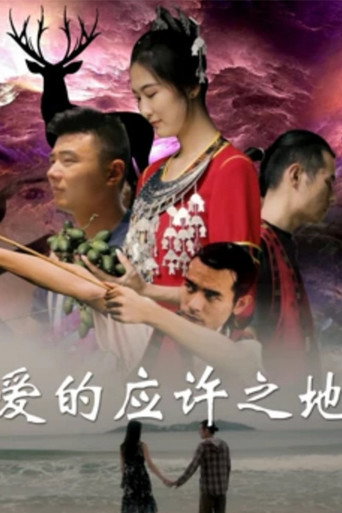 爱的应许之地海报