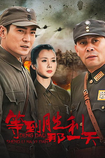 等到胜利那一天海报