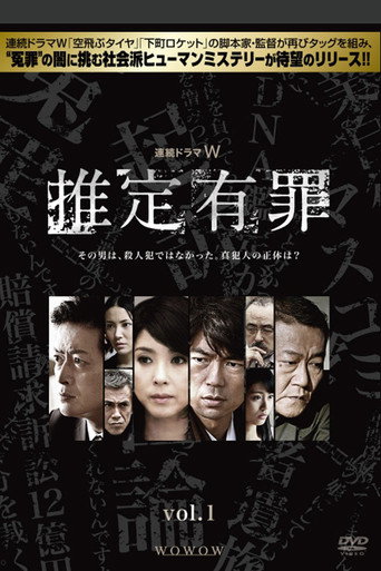 推定有罪海报