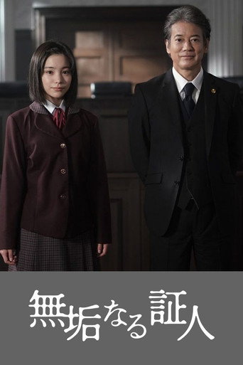 无垢的证人海报