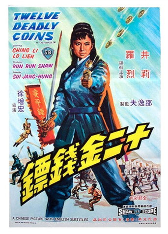 十二金钱镖海报