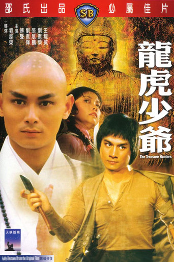 龙虎少爷海报