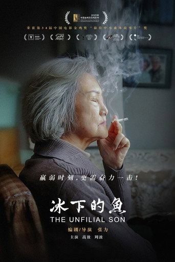 冰下的鱼海报