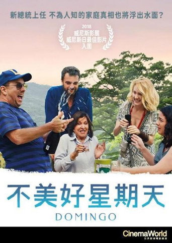 多明戈海报