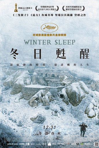 冬眠海报
