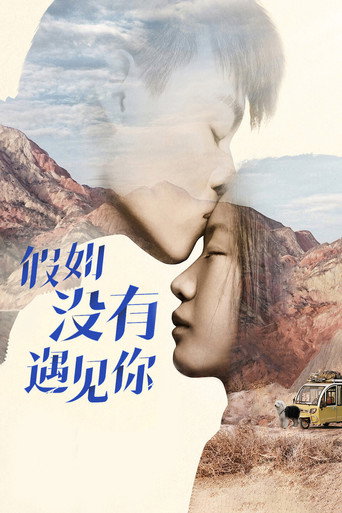 假如没有遇见你海报
