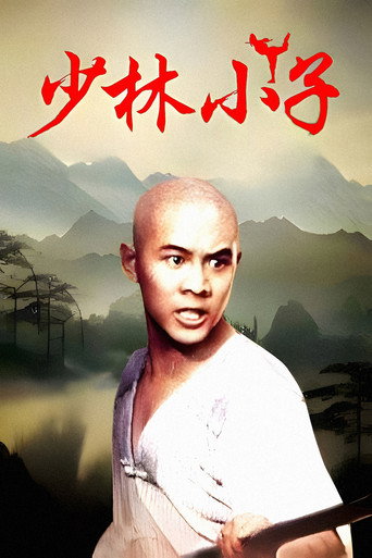 少林小子海报