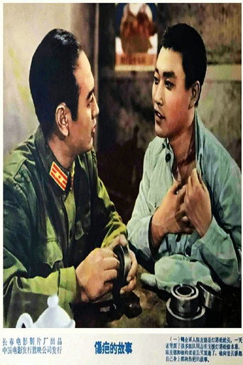 伤疤的故事海报