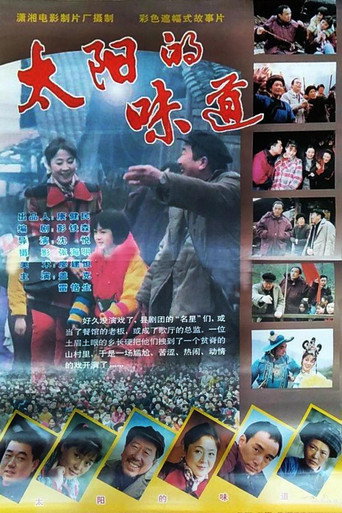 太阳的味道海报