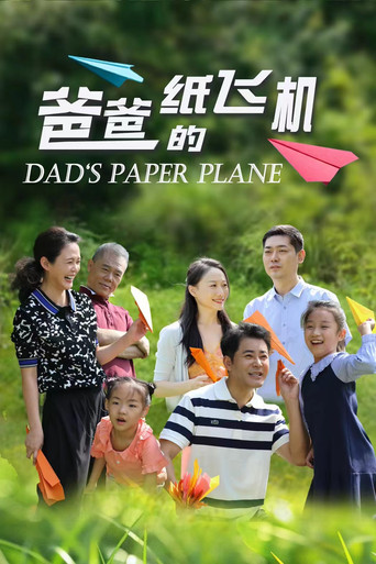 爸爸的纸飞机海报