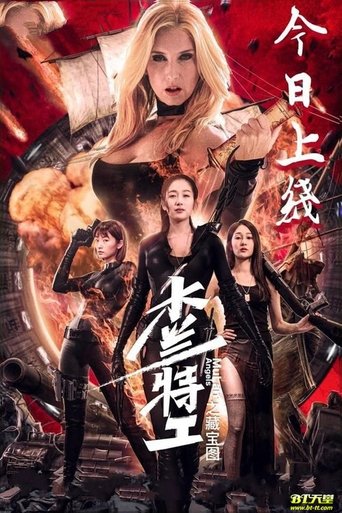 木兰特工之藏宝图海报