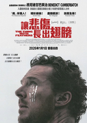 长翅膀的东西海报