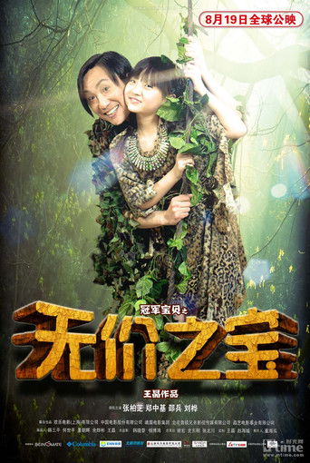 无价之宝海报