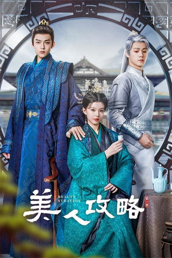 美人攻略海报