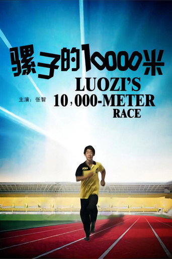 骡子的10000米海报