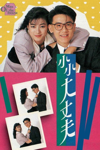小小大丈夫海报