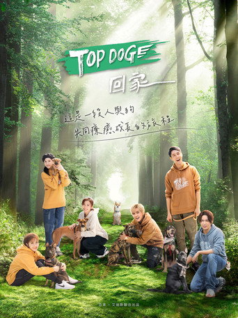 TOP DOG回家海报