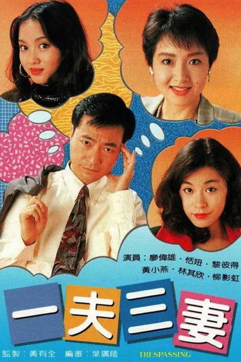 一夫三妻海报