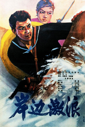 岸边激浪海报