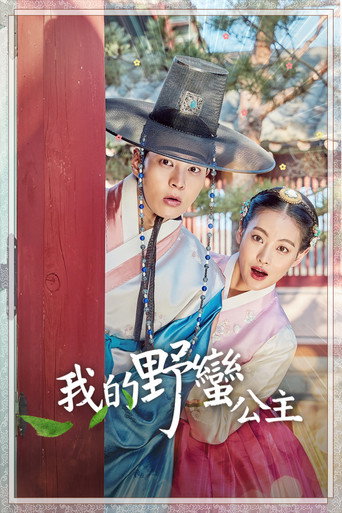 我的野蛮女友海报