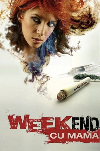 与母亲共度周末海报
