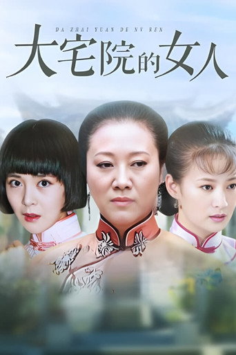 大宅院的女人海报