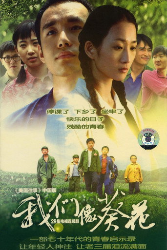 我们像葵花海报