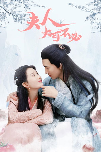 夫人，大可不必海报