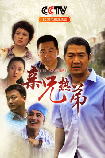 亲兄热弟海报