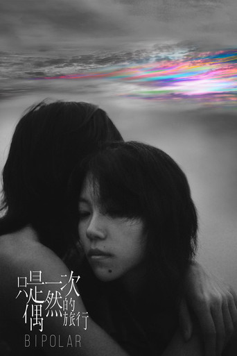 只是一次偶然的旅行海报