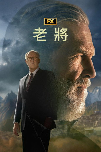 老手海报