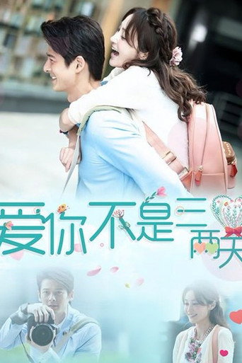 爱你不是三两天海报