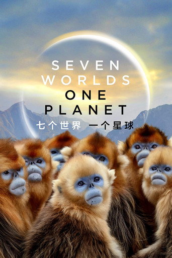 七个世界，一个星球海报