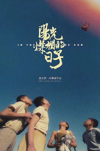阳光灿烂的日子海报