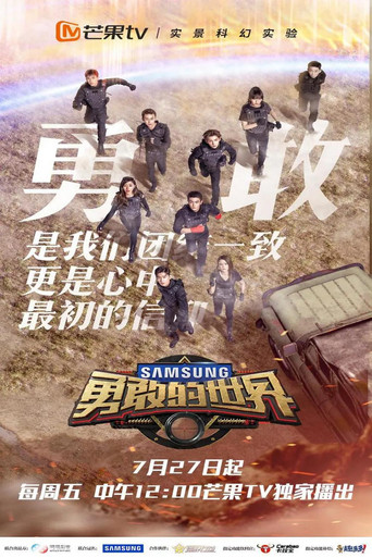 勇敢的世界海报