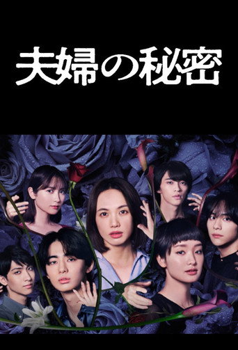 夫妇的秘密海报